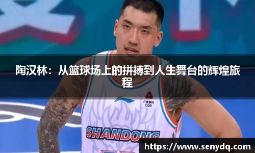 陶汉林：从篮球场上的拼搏到人生舞台的辉煌旅程
